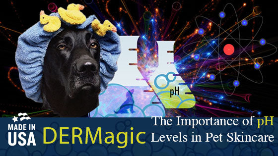 DERMagic Blogpost: The Importance of pH Levels in Pet Skincare