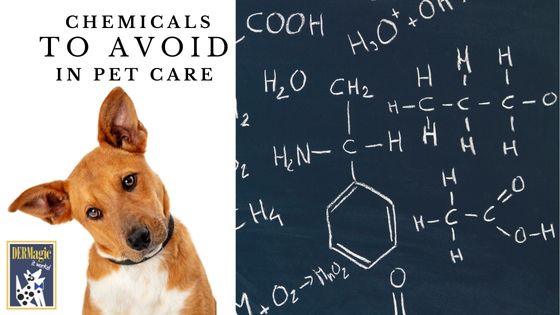 Chemicals to Avoid in Pet Skin Care