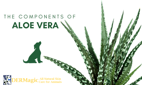 Aloe Vera Components - DERMagic