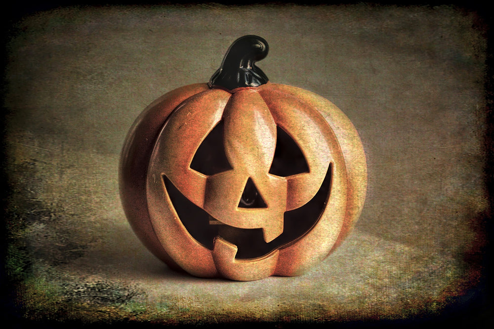 Fun Ideas for Dressing Up your Pet for Halloween