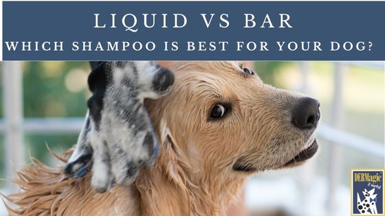 Bars vs Liquid: Which Shampoo is Best for Your Pets?