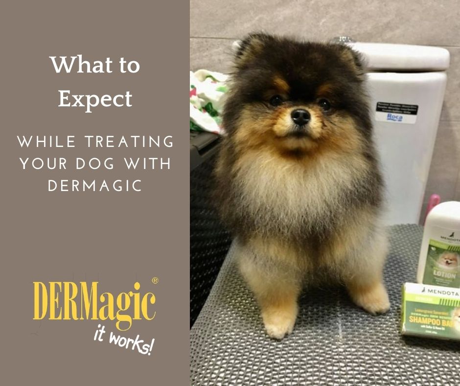 What to Expect when Treating with DERMagic