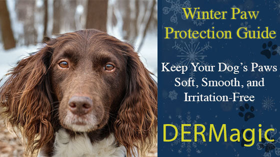 Clickable image for DERMagic’s Winter Paw Protection Guide on preventing dry, cracked, or irritated dog paws in winter.