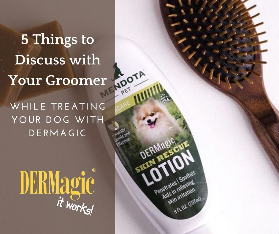 5 Things to Discuss with Your Groomer During DERMagic Treatment