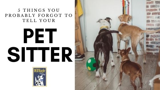 5 Things You Probably Forgot to Tell Your Pet Sitter About DERMagic