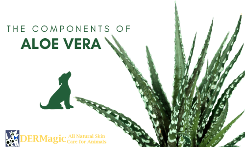 Aloe Vera Components