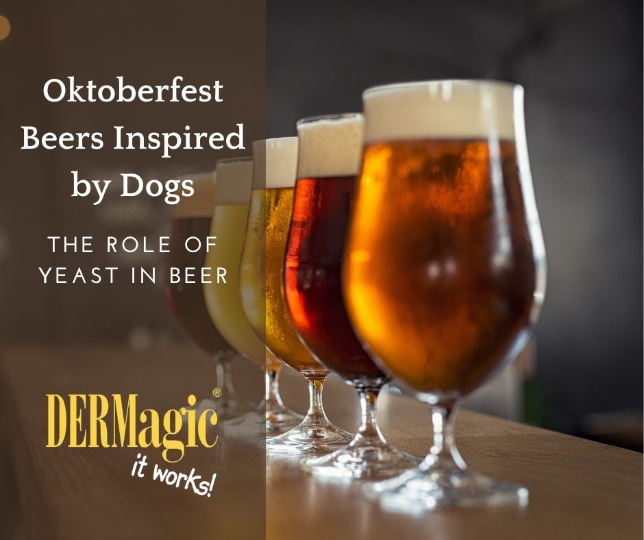 Oktoberfest Beers Inspired by Dogs