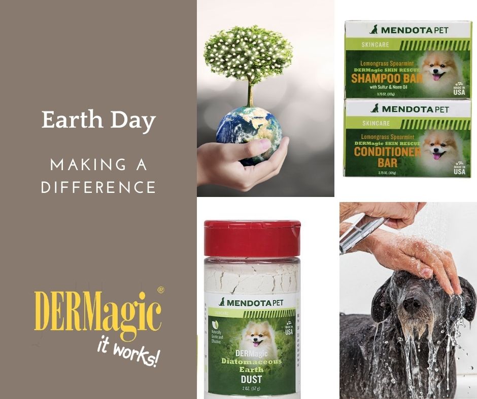 Making A Difference on Earth Day