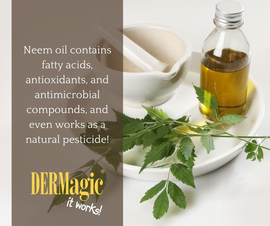 Ingredient Profile: Neem Oil in DERMagic products